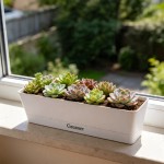 GREANER 16x3.8 Inch Window Boxes Planters, 1PCS Plastic Rectangle Potwith Tray, Lightweight Indoor Succulent Cactus Flowers Vegetable Herb Planters for Balcony, Office, Garden, Outdoor, Windowsill