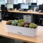 GREANER 16x3.8 Inch Window Boxes Planters, 1PCS Plastic Rectangle Potwith Tray, Lightweight Indoor Succulent Cactus Flowers Vegetable Herb Planters for Balcony, Office, Garden, Outdoor, Windowsill