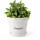 GREANER 4 Inch Plant Pot, White Plant Pots Indoor with Drainage, Thickened Succulent Planters with Saucers for Home Garden Indoor Outdoor Flowers