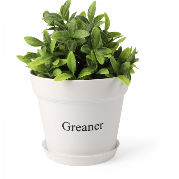 GREANER 4 Inch Plant Pot, White Plant Pots Indoor with Drainage, Thickened Succulent Planters with Saucers for Home Garden Indoor Outdoor Flowers