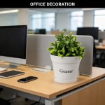 GREANER 4 Inch Plant Pot, White Plant Pots Indoor with Drainage, Thickened Succulent Planters with Saucers for Home Garden Indoor Outdoor Flowers